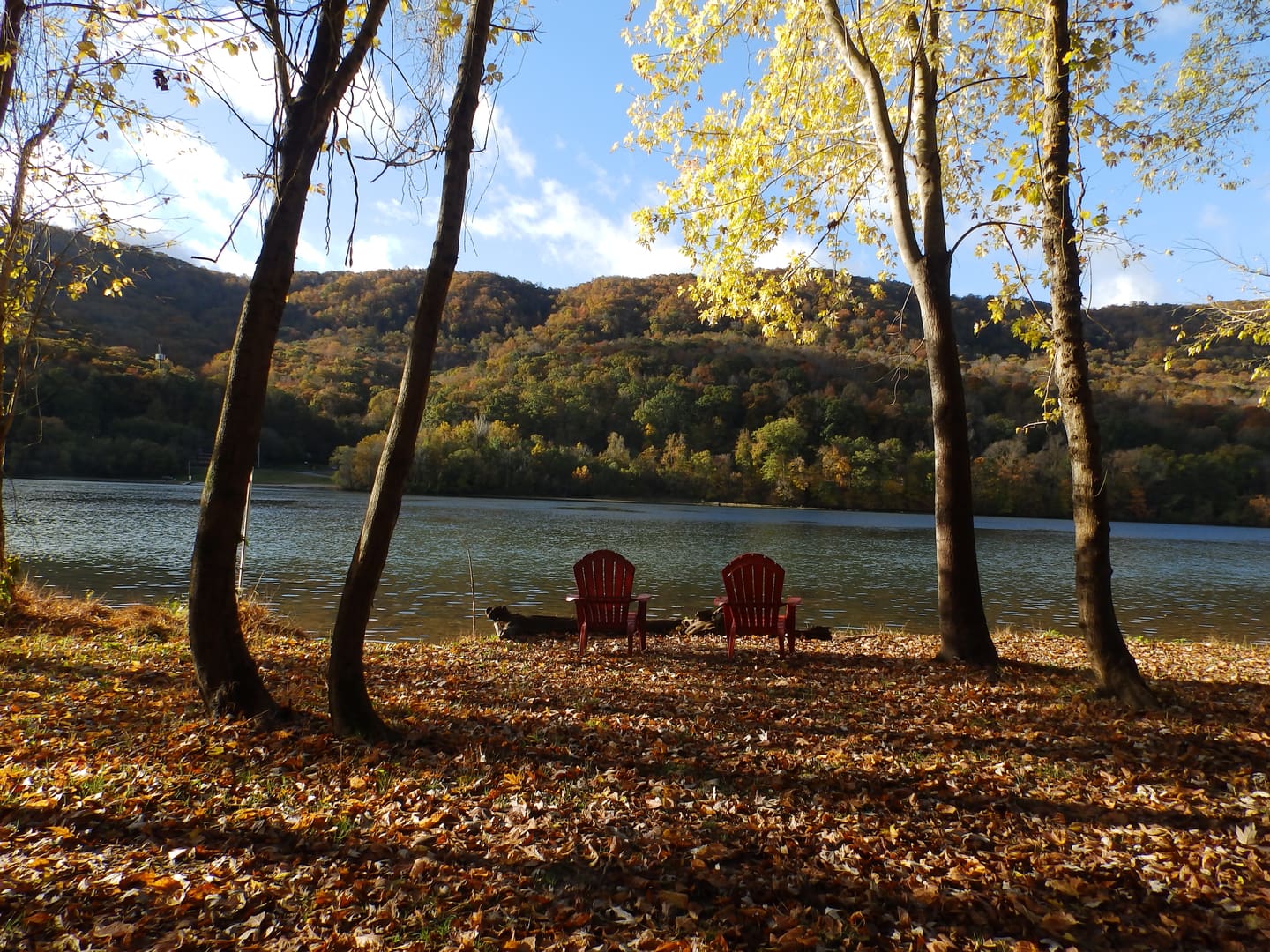 Tennessee River Waterfront Cabin Vacations